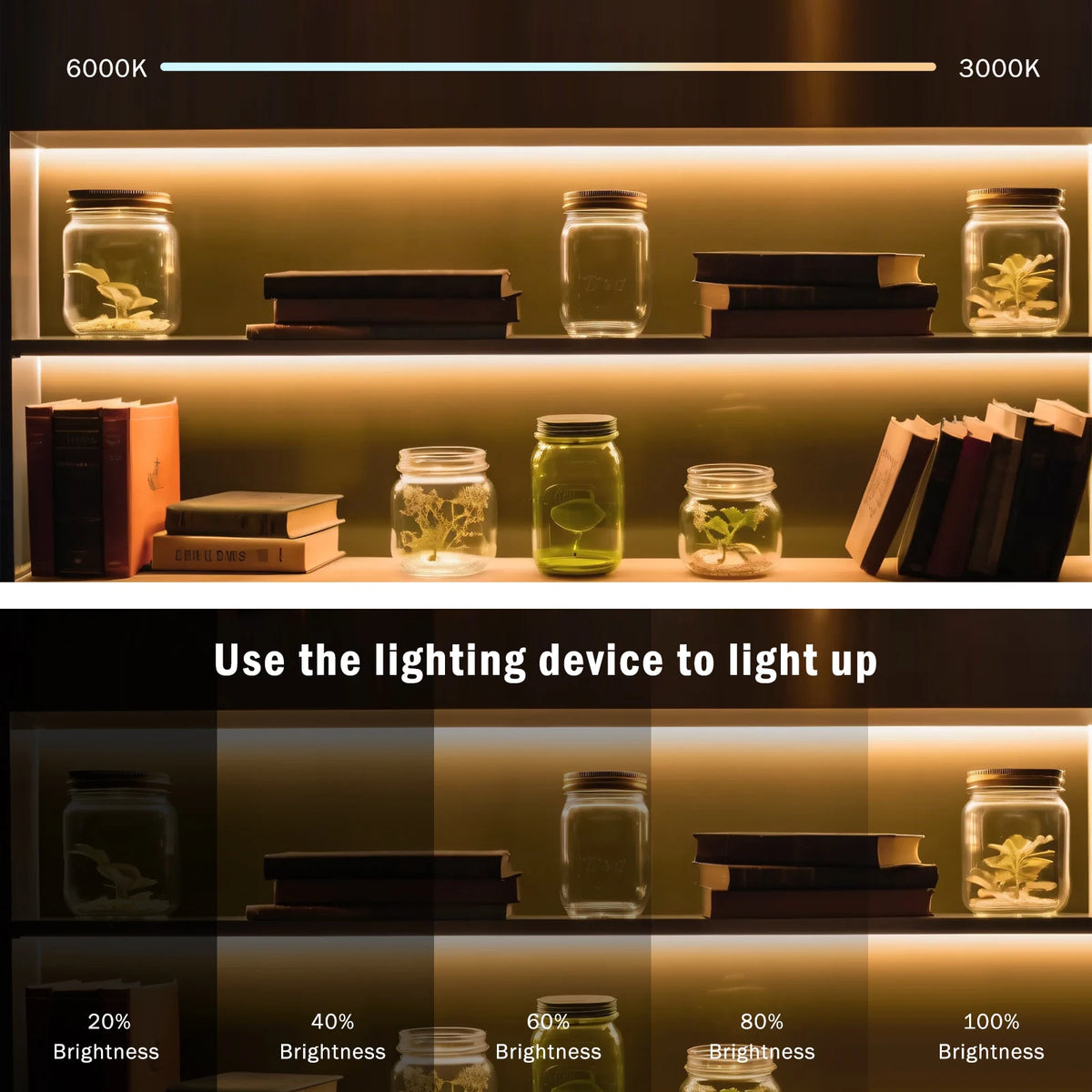 220V Dimmable COB LED Neon Strip Light With Switch/Dimmer Pl