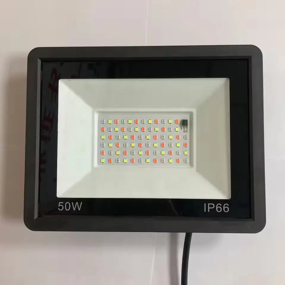 Rgb Outdoor Led Projector 220V Rgb Flood Light 10W 30W 100W 50W Waterproof Led Color Changing Rgb Spotlight Lamp Remote Control