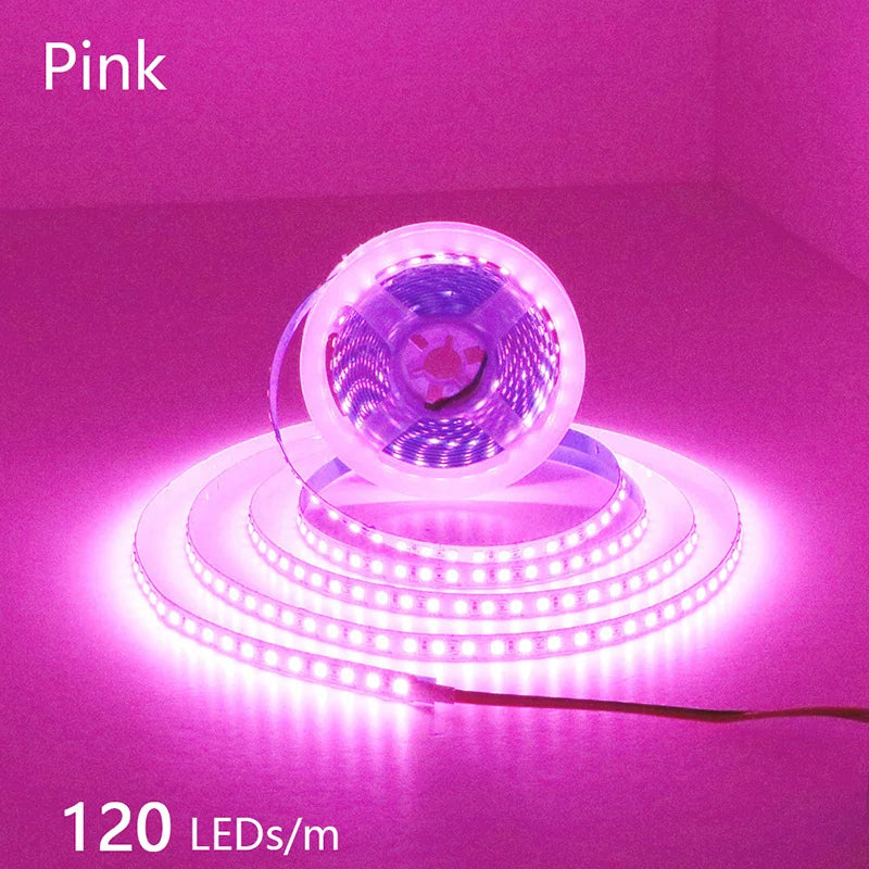 2835 5M 300 600 1200LEDs LED Strip DC12V 24V 120LEDs/m Home Waterproof IP65 Lamp Strip Flexible And Cuttable Soft Lamp Bar