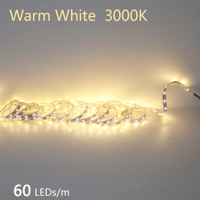 2835 5M 300 600 1200LEDs LED Strip DC12V 24V 120LEDs/m Home Waterproof IP65 Lamp Strip Flexible And Cuttable Soft Lamp Bar