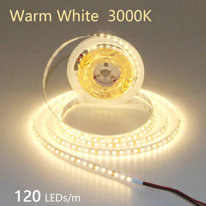 2835 5M 300 600 1200LEDs LED Strip DC12V 24V 120LEDs/m Home Waterproof IP65 Lamp Strip Flexible And Cuttable Soft Lamp Bar