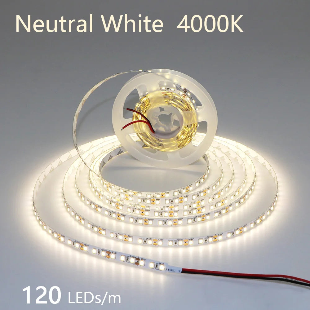 2835 5M 300 600 1200LEDs LED Strip DC12V 24V 120LEDs/m Home Waterproof IP65 Lamp Strip Flexible And Cuttable Soft Lamp Bar
