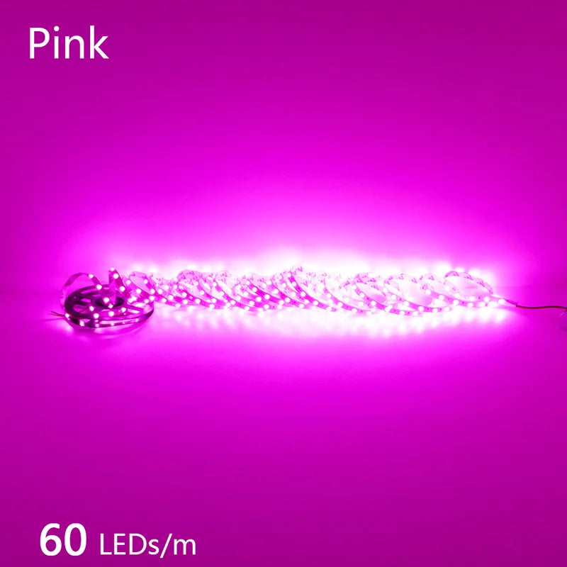 2835 5M 300 600 1200LEDs LED Strip DC12V 24V 120LEDs/m Home Waterproof IP65 Lamp Strip Flexible And Cuttable Soft Lamp Bar