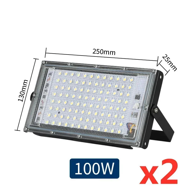 2pcs/lot Led Floodlight 50W 100W AC 110V 220V Outdoor Flood Light Spotlight LED Street Lamp Projector Exterior IP65 Waterproof