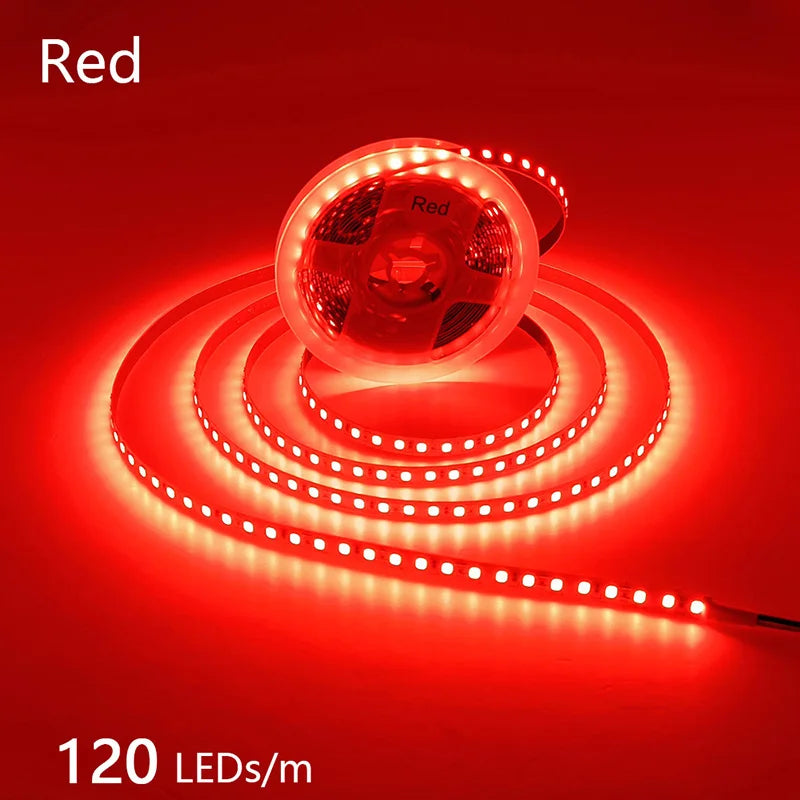 2835 5M 300 600 1200LEDs LED Strip DC12V 24V 120LEDs/m Home Waterproof IP65 Lamp Strip Flexible And Cuttable Soft Lamp Bar