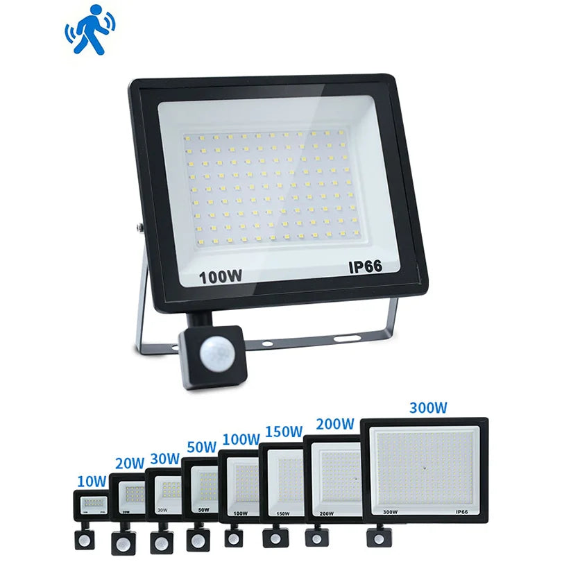 LED Floodlight Motion Sensor AC220V AC110V 10W-300W Waterpro