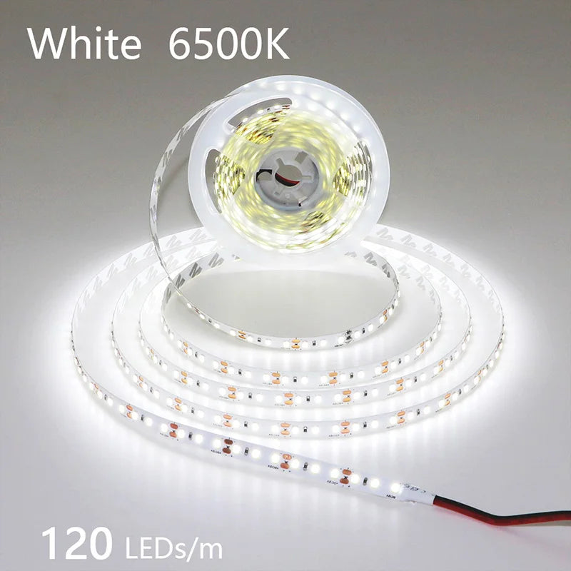 2835 5M 300 600 1200LEDs LED Strip DC12V 24V 120LEDs/m Home Waterproof IP65 Lamp Strip Flexible And Cuttable Soft Lamp Bar