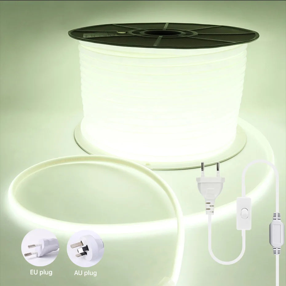 Waterproof 220V COB Led Strip EU AU ON/OFF Switch Power Plug