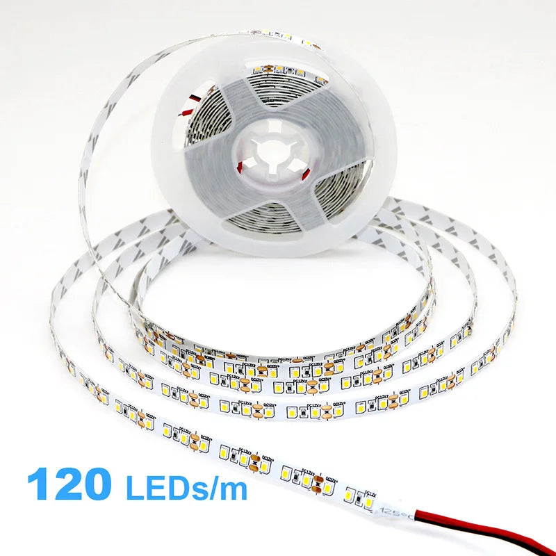 2835 5M 300 600 1200LEDs LED Strip DC12V 24V 120LEDs/m Home 