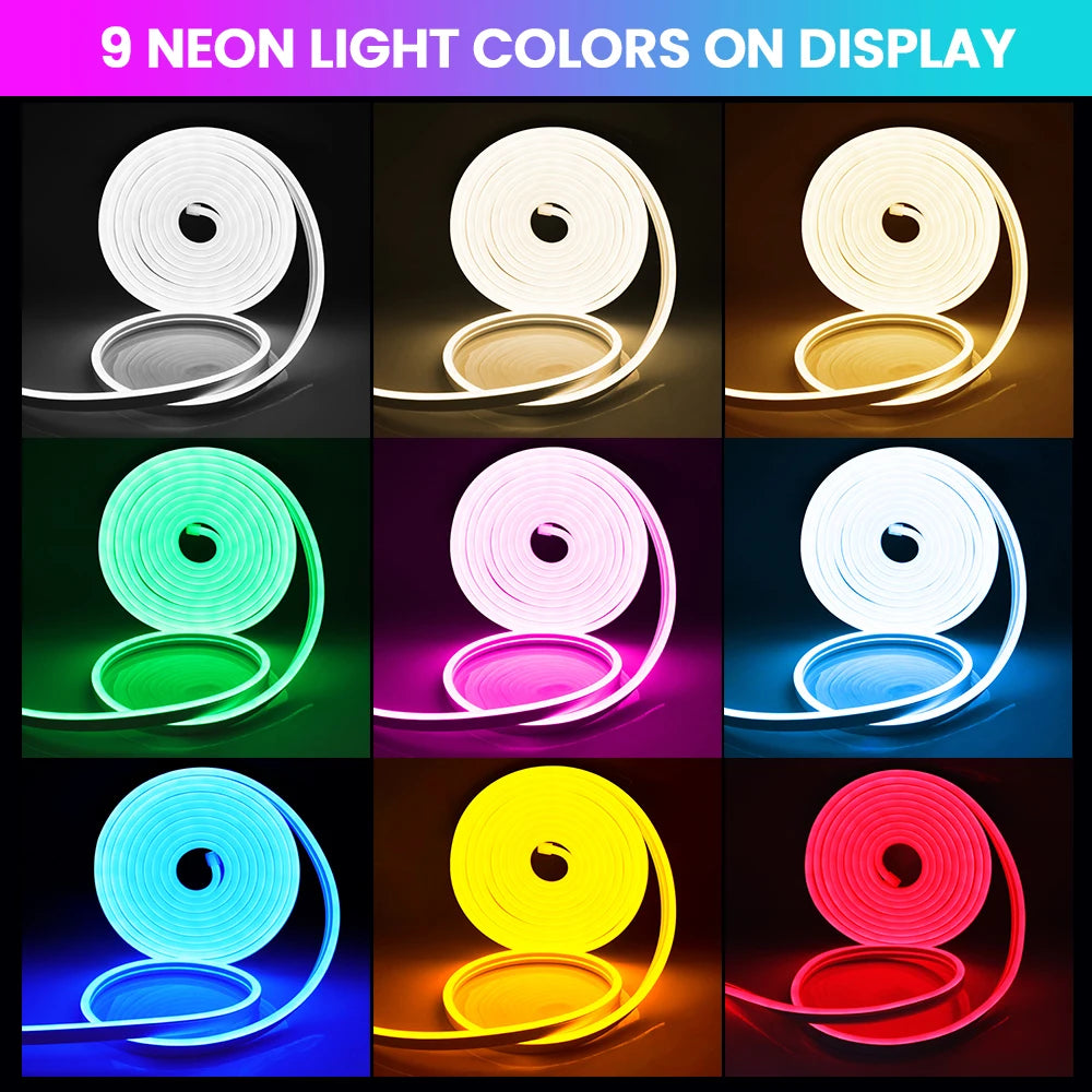 24V IP67 Waterproof Neon Strip SMD2835 1M-20M White/Blue/Pin