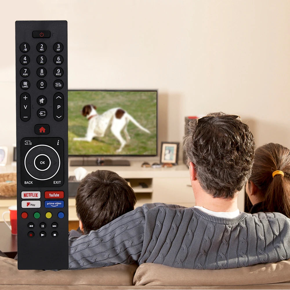 Universal Remote Control RC43137P for Bush Digihome Finlux E