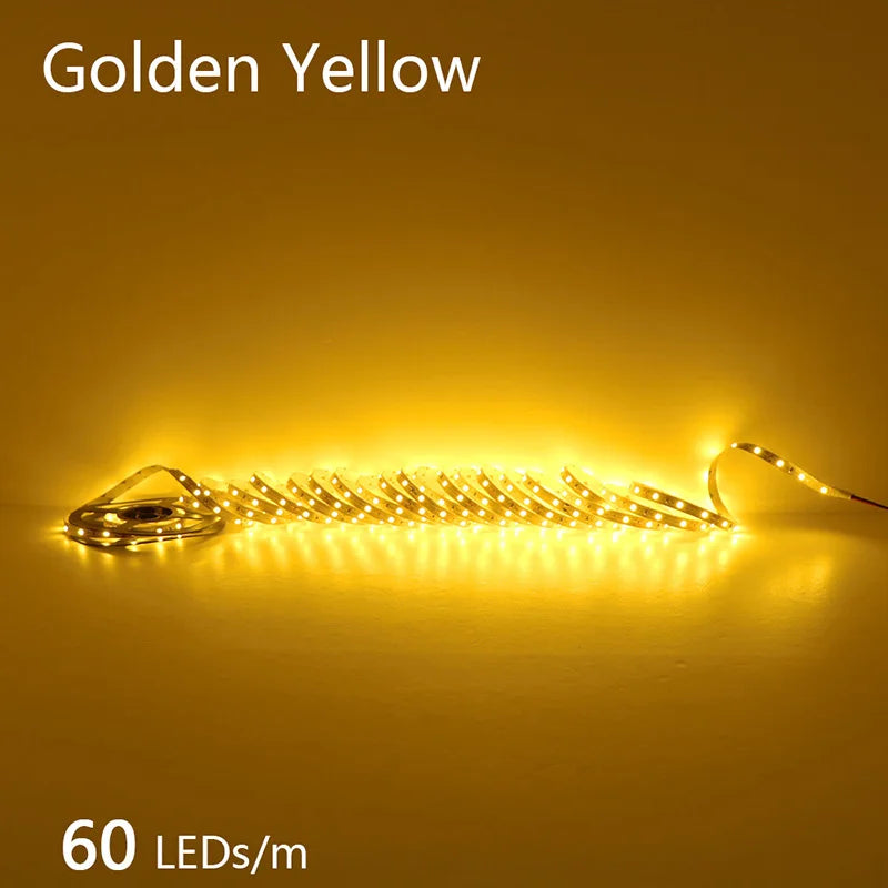 2835 5M 300 600 1200LEDs LED Strip DC12V 24V 120LEDs/m Home Waterproof IP65 Lamp Strip Flexible And Cuttable Soft Lamp Bar