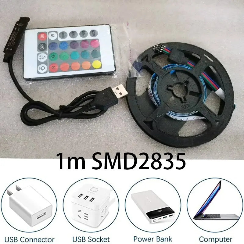 1m USB LED Strip Lights 60LEDs/m RGB Tape SMD 2835 With Remo