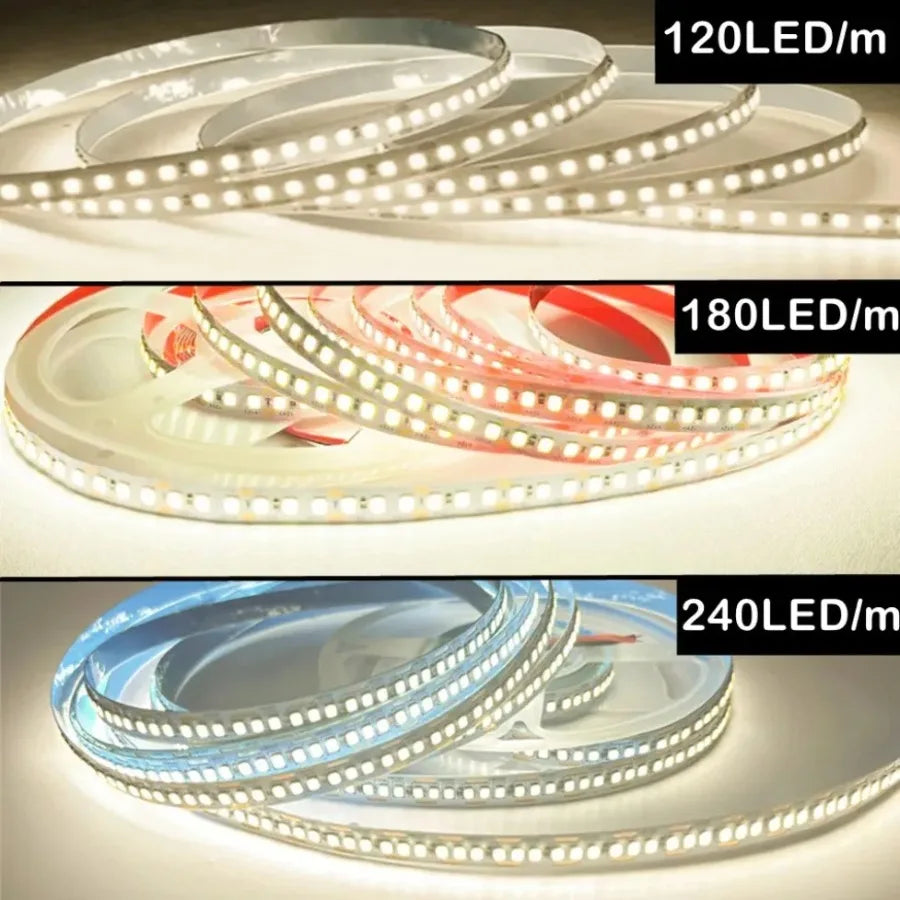 10 0.5M DC12V/24V SMD2835 LED Strip 120/180/240LEDs/M High D