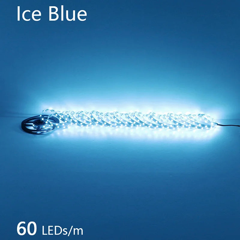 2835 5M 300 600 1200LEDs LED Strip DC12V 24V 120LEDs/m Home Waterproof IP65 Lamp Strip Flexible And Cuttable Soft Lamp Bar
