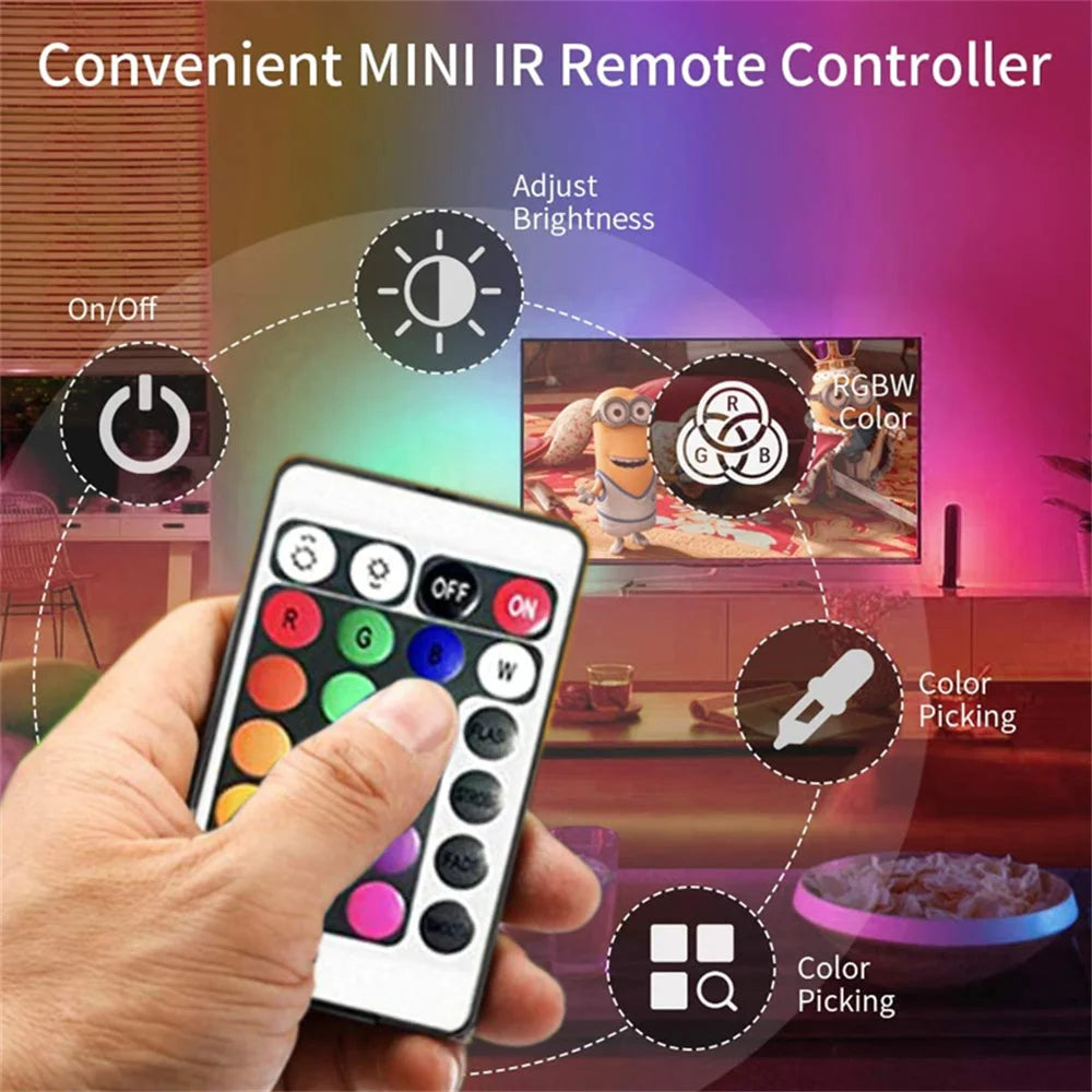 RGB LED Lights with Battery USB 5V LED Strip Lights IR Remot