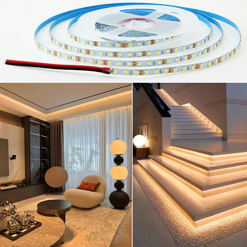 5mm 8mm LED Strip 2835 DC24V 12V 120LEDs/m Home Lamp Strips 