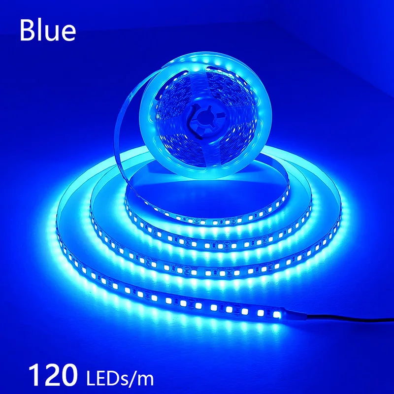 2835 5M 300 600 1200LEDs LED Strip DC12V 24V 120LEDs/m Home Waterproof IP65 Lamp Strip Flexible And Cuttable Soft Lamp Bar