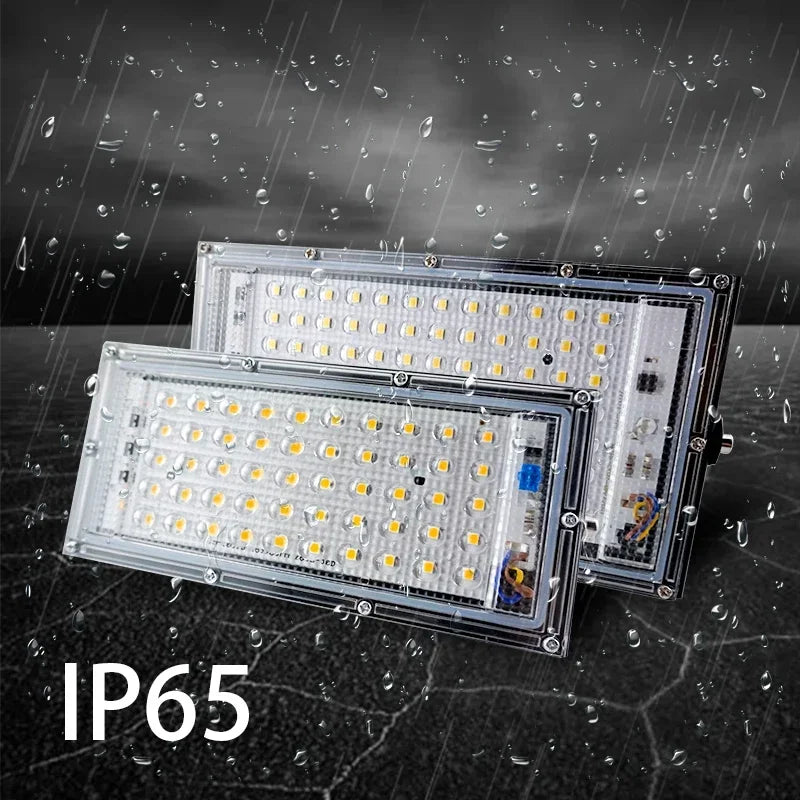 2pcs/lot Led Floodlight 50W 100W AC 110V 220V Outdoor Flood 