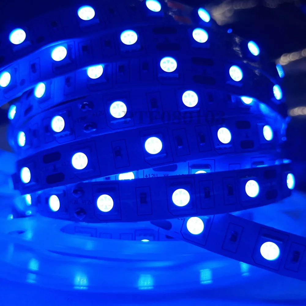 LED Strip 5050 DC 12V 24V RGB Warm White 5 Meter Waterproof 