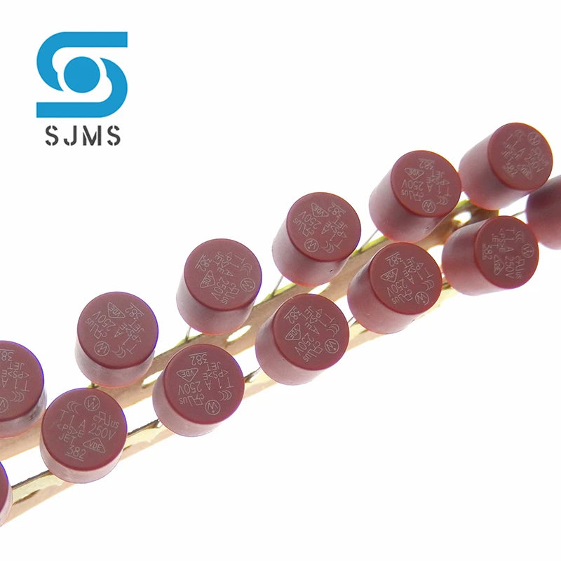10PCS Round Fuse Slow Blow DIP 2Pin 500mA 1A 2A 2.5A 3.15A 4