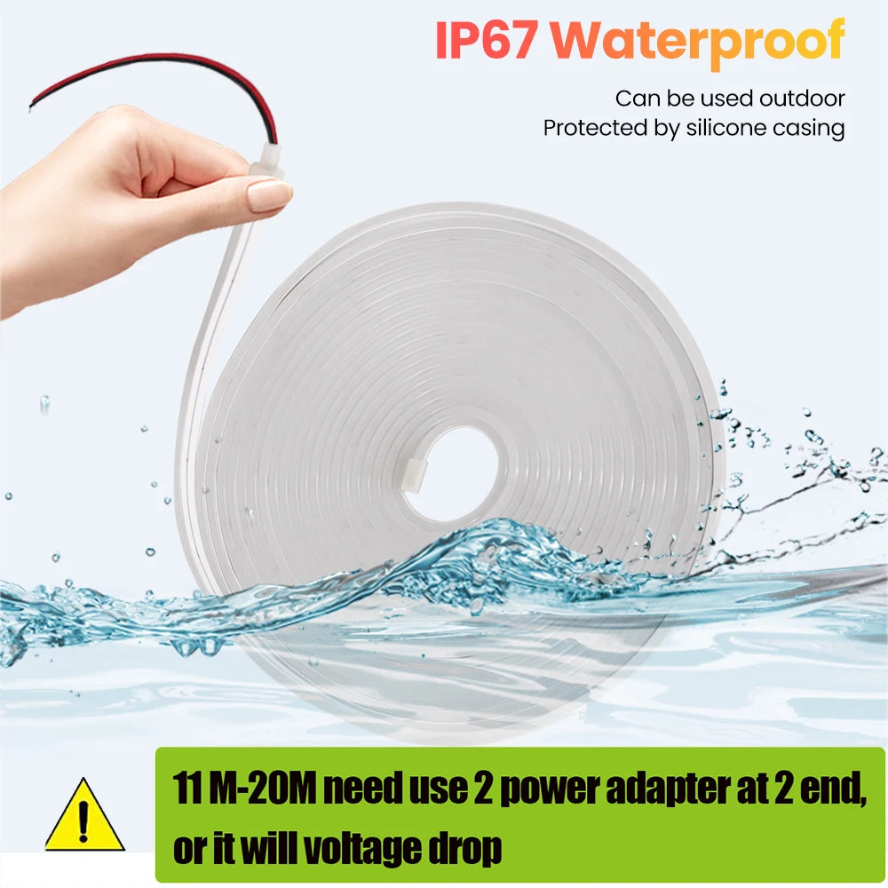 24V IP67 Waterproof Neon Strip SMD2835 1M-20M White/Blue/Pin