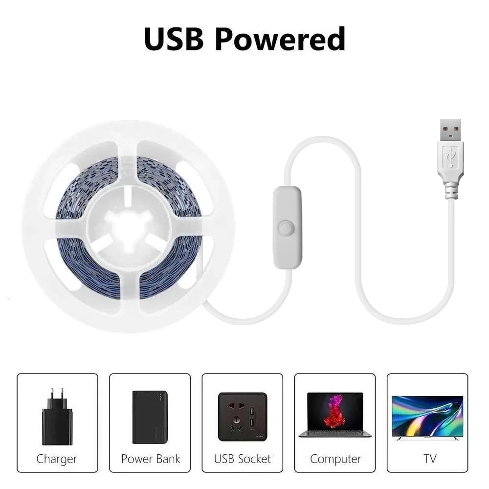 10m / 5m / 3m / 2m / 1m Led Light Strip USB Plug-In Flexible