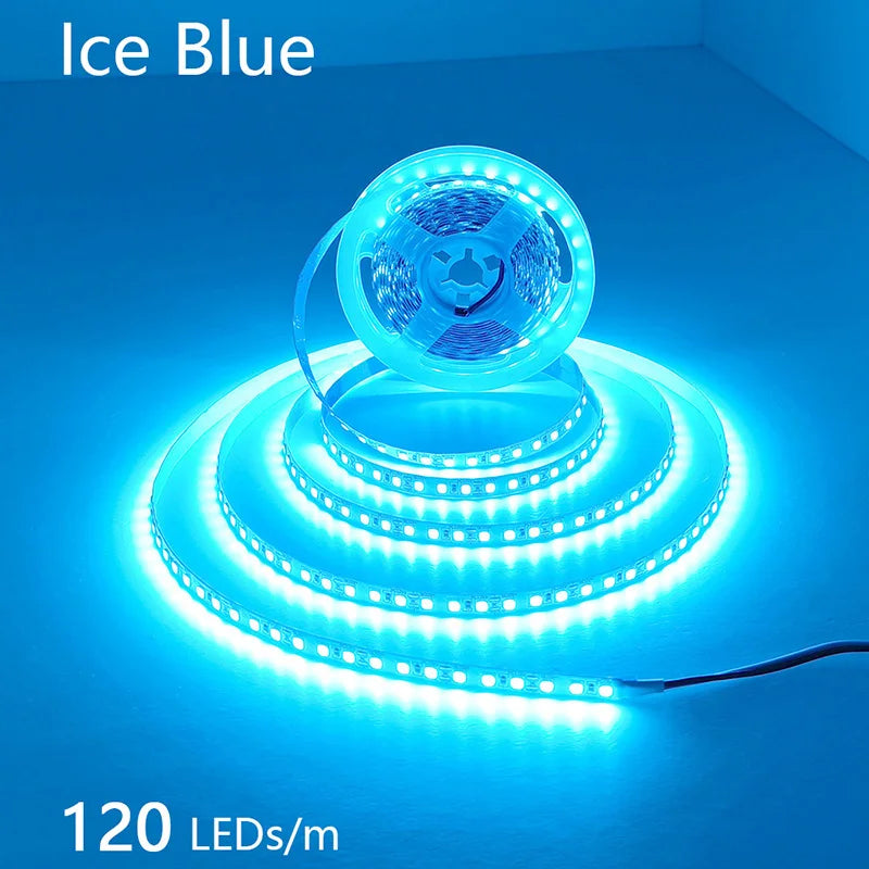 2835 5M 300 600 1200LEDs LED Strip DC12V 24V 120LEDs/m Home Waterproof IP65 Lamp Strip Flexible And Cuttable Soft Lamp Bar