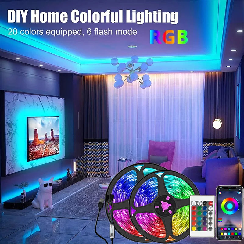1-30M USB 5V LED Strip Lights With Bluetooth 24Keys Remote C