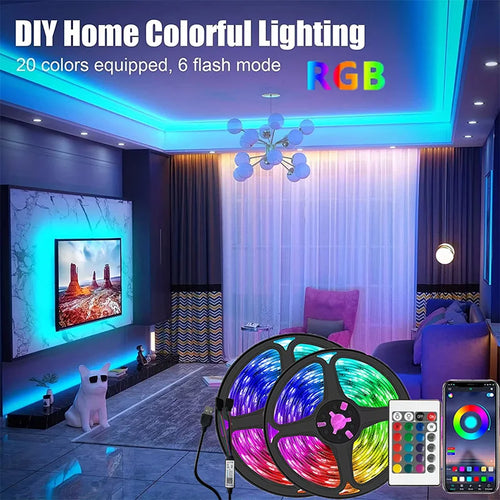 1-30M USB 5V LED Strip Lights With Bluetooth 24Keys Remote C