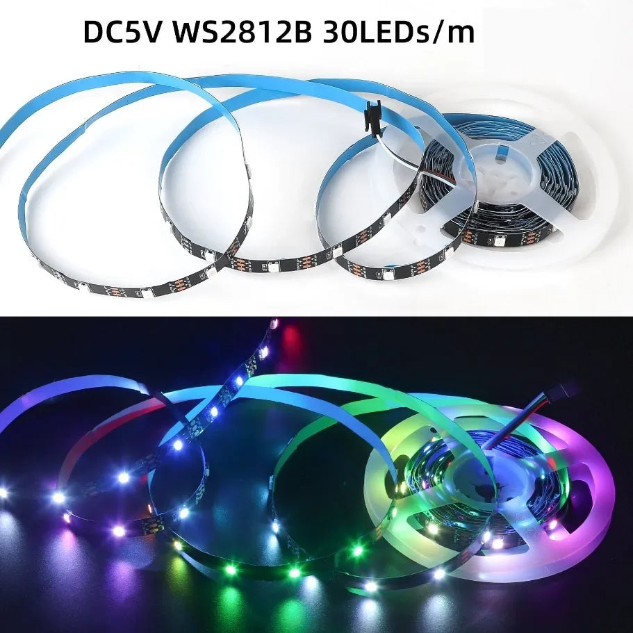 WS2812B 5050 RGBIC 5V Smart LED Strip Individually Addressab