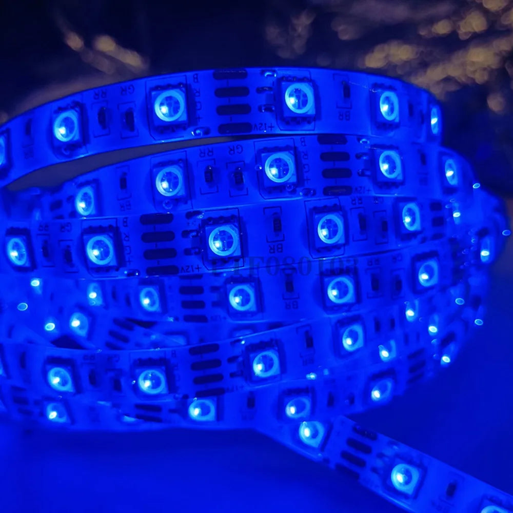 LED Strip 5050 DC 12V 24V RGB Warm White 5 Meter Waterproof 