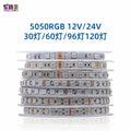 5M RGB 5050 LED Strip Lights DC 12V 24V 30/60/96/120leds Fle